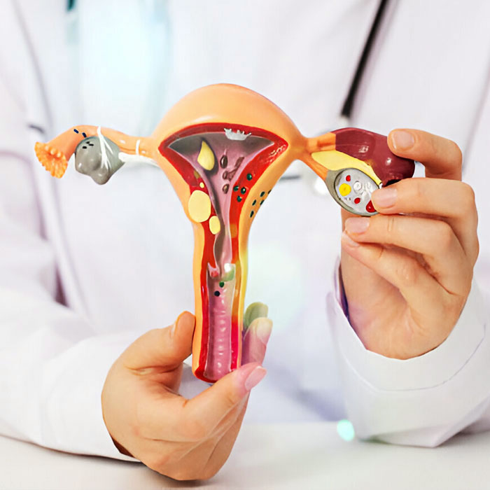 Hysteroscopy Surgery